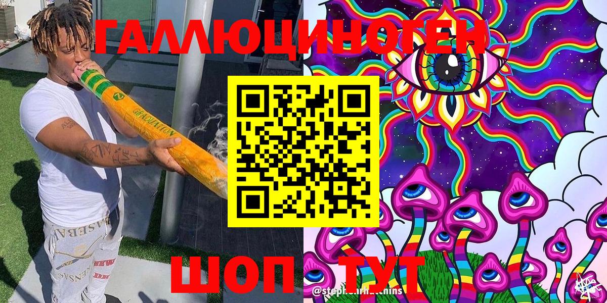 Галлюциногенные грибы Psilocybe Нововоронеж