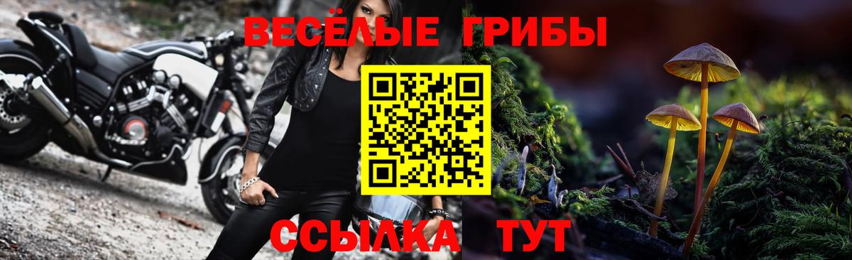 Галлюциногенные грибы мицелий  Вход с VPN  Нововоронеж 