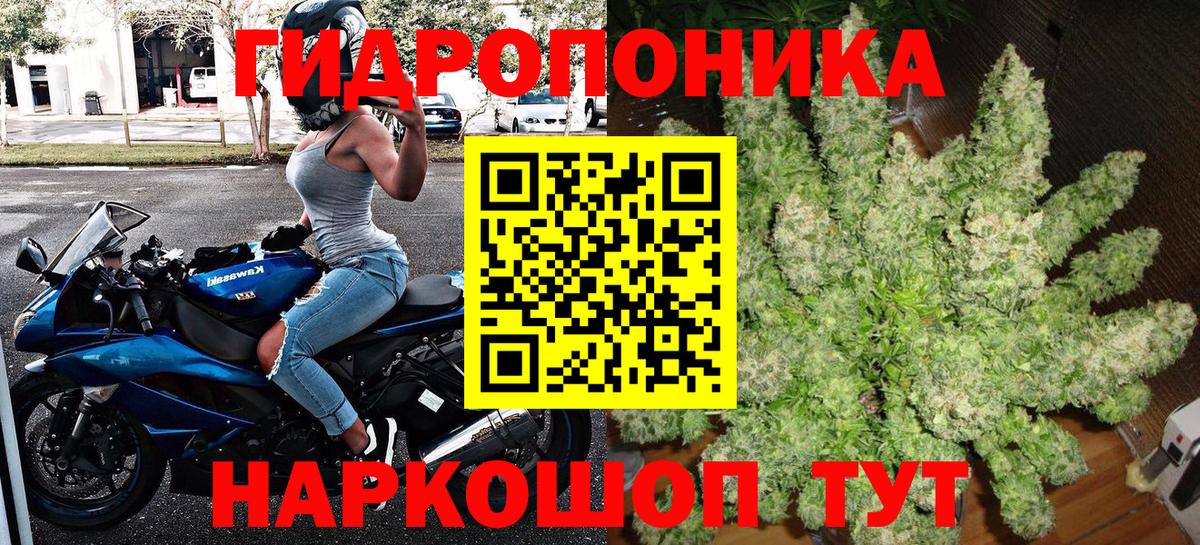 МАРИХУАНА Ganja Нововоронеж